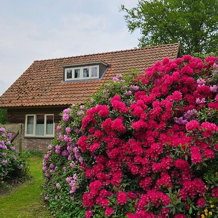 Holiday Home Countryside, Langbroek / Дорн Экстерьер фото