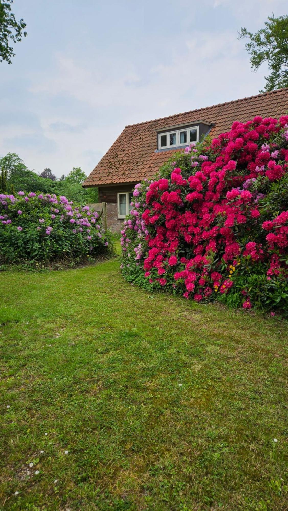 Holiday Home Countryside, Langbroek / Дорн Экстерьер фото